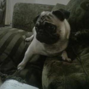 Meet your Posher, Eduardo